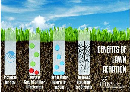 
Fertilize Your Lawn: