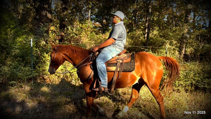 💚Ranger Safe for All Ages💚