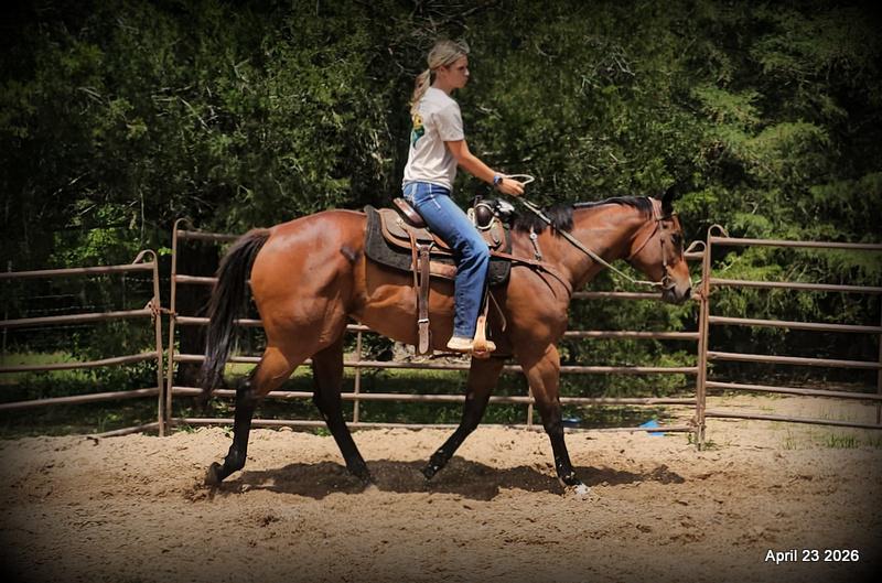 Darylslitlediablo (Diablo)