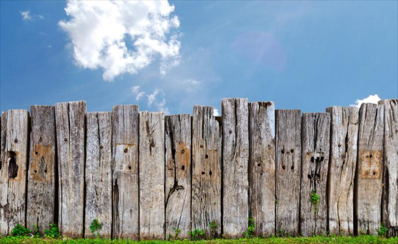 Fence Removal