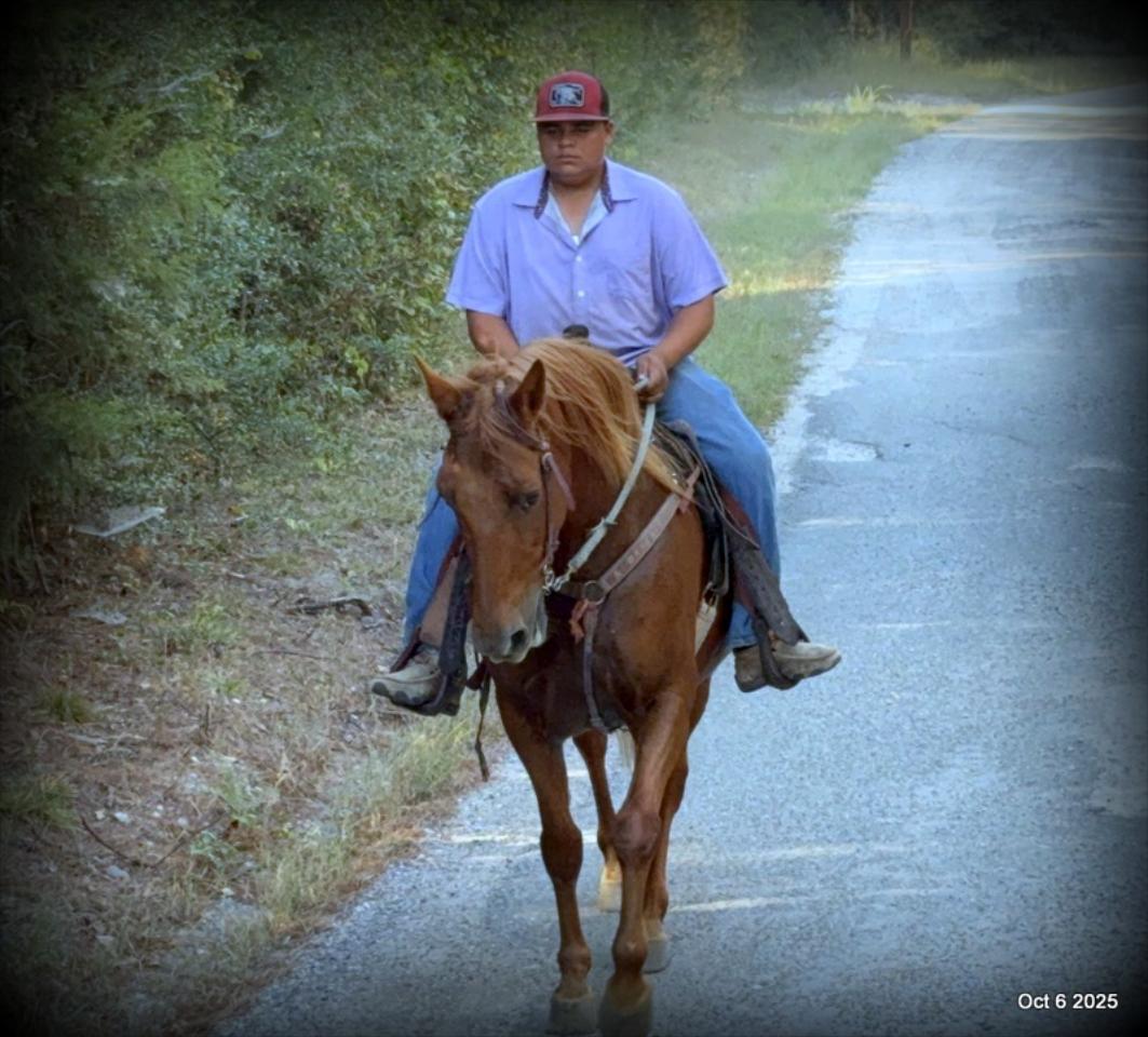 🌹 Meet Missouri – The Mare That Makes Every Ride Feel Like Home 🌹