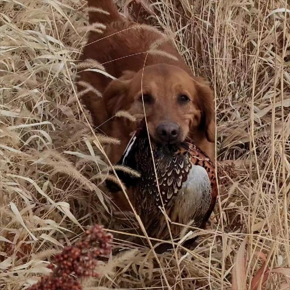 Welcome to Flyin J Outfitters