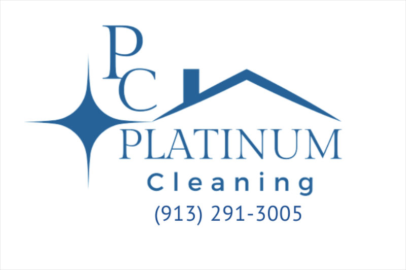 Why Platinum Cleaning Is Your Scam-Free Choice