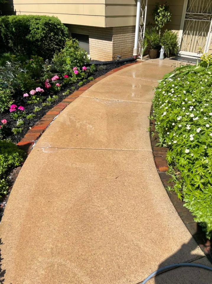 QUAD CITIES DRIVEWAY, WALKWAY, AND SURFACE CLEANING SERVICES