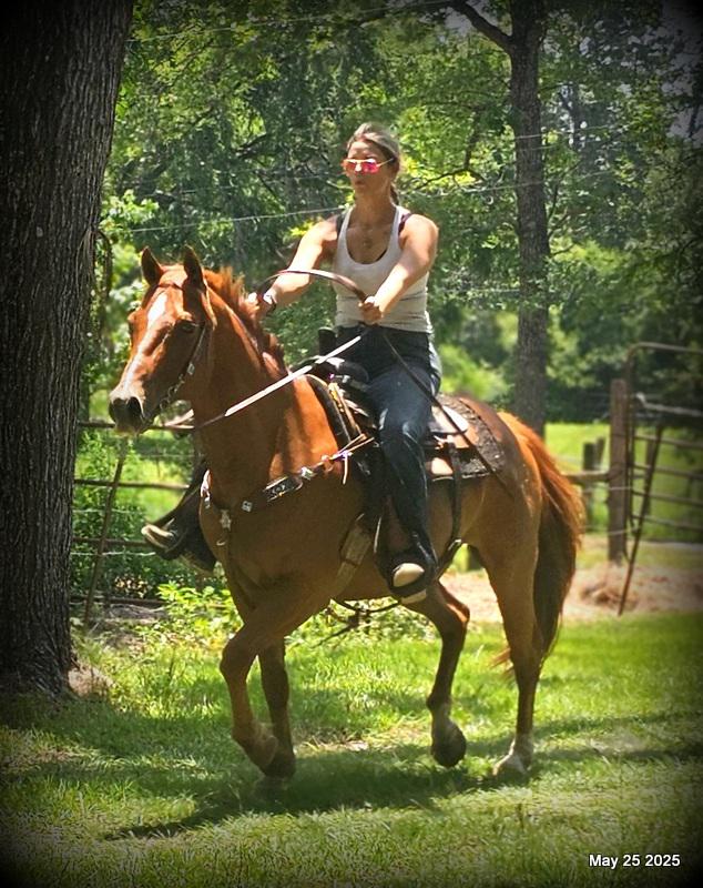 Smart Little Buzz AKA hawk