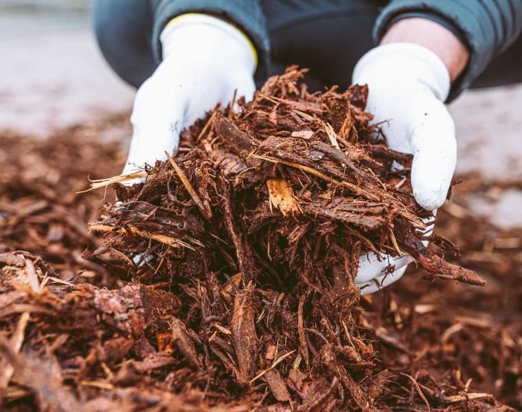 Forest Mulching