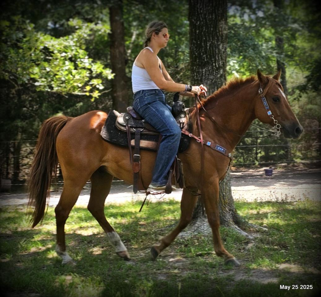 Smart Little Buzz AKA hawk
