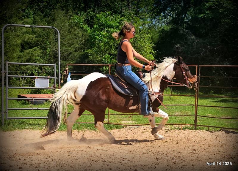 Montana – The Picture-Perfect Partner with All the Right Moves