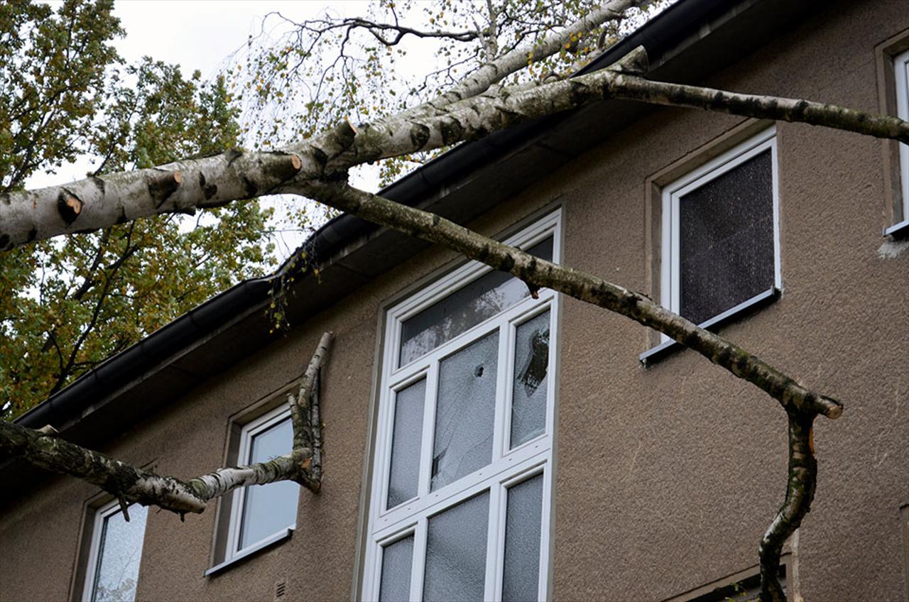 STORM SERVICES