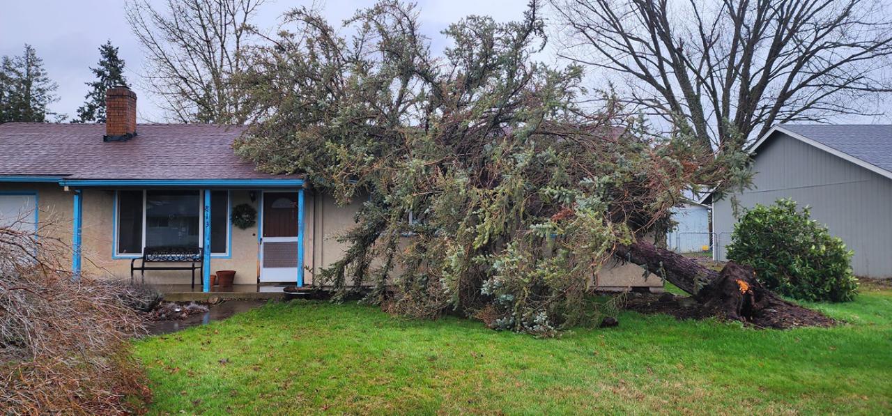 24/7 Emergency Storm Damage