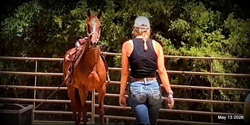 ❤️Mocha❤️Mare with a Story Still Being Written 🌟