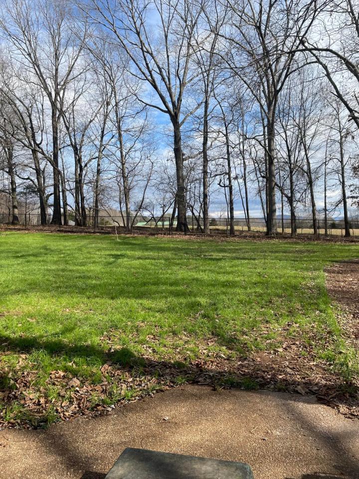Spring and Fall Clean-up
