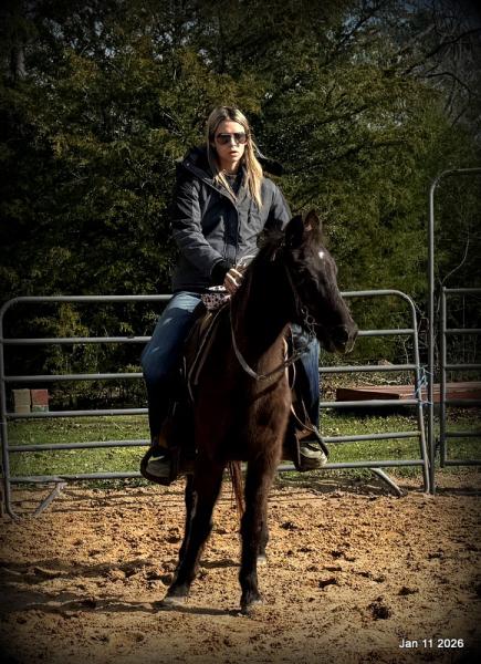 🩷❤️Pixie🩷❤️