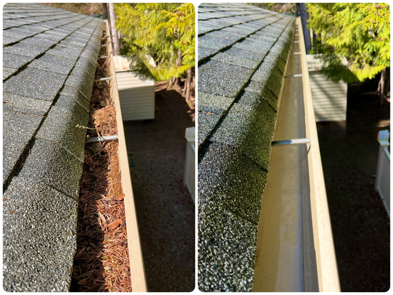 Gutter Cleaning Services in Bellingham, WA