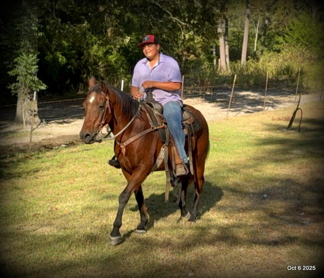 🌟 Meet Brownie – Your All-Around Ranch and Trail Partner 🌟