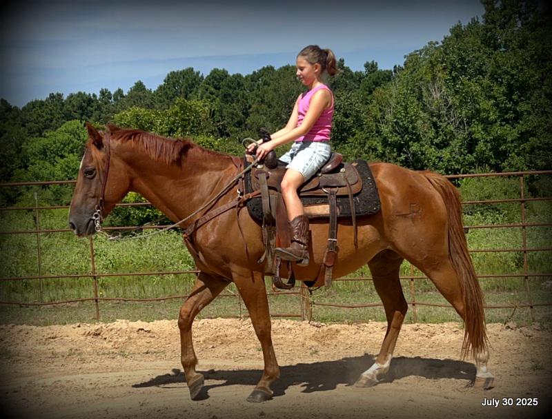 Smart Little Buzz AKA hawk