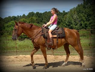 Smart Little Buzz AKA hawk