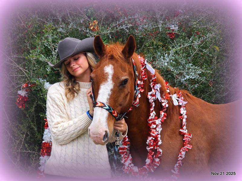 💚Ranger Safe for All Ages💚