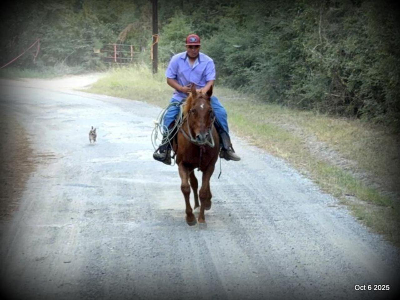 Biggie – Ranch-Tested, Family-Safe, and Ready to Ride!
