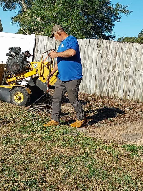 Stump grinding in a fenced backyard