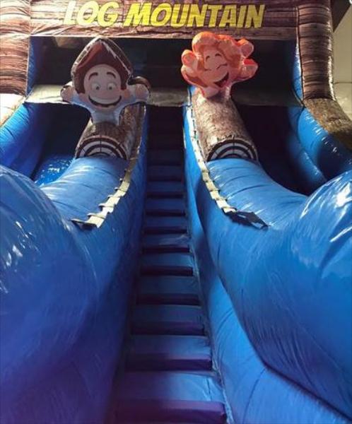 18' Log Mountain Slide Dual Lane (Wet/Dry)