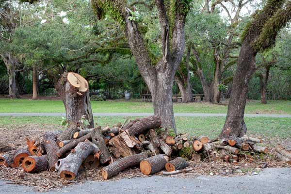 Debris Removal