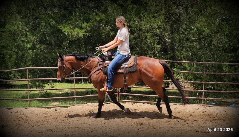 Darylslitlediablo (Diablo)