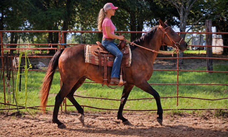 💚 Pop-tart Kid Safe & Family Safe Mare💚