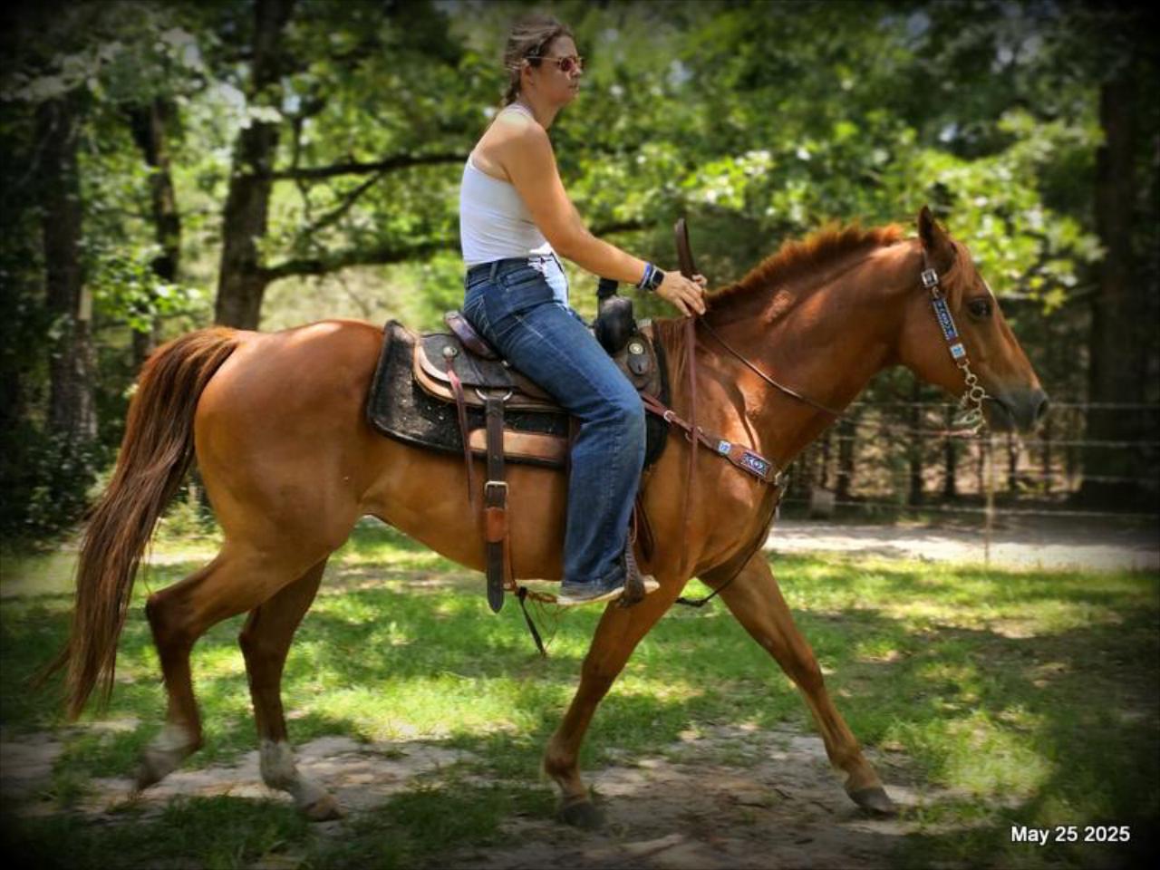 Smart Little Buzz AKA hawk