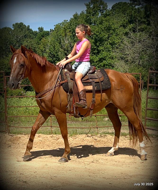 Smart Little Buzz AKA hawk