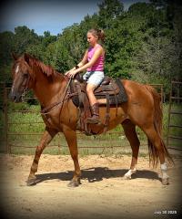 Smart Little Buzz AKA hawk