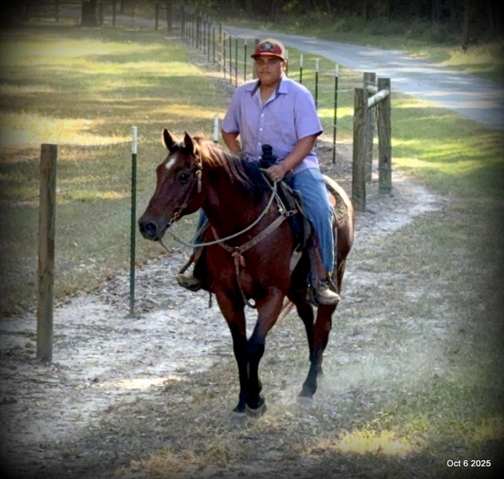 🌟 Meet Brownie – Your All-Around Ranch and Trail Partner 🌟