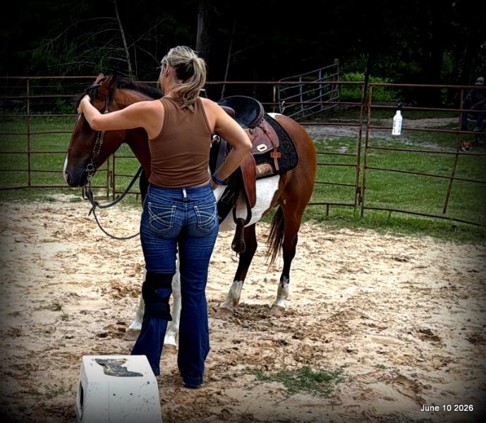 🧡Coca🧡Solid, Sensible Trail Mare 🌟