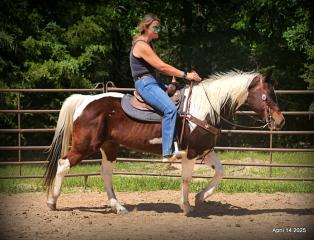 Montana – The Picture-Perfect Partner with All the Right Moves