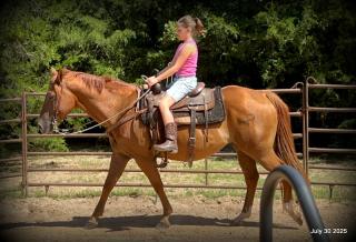 Smart Little Buzz AKA hawk