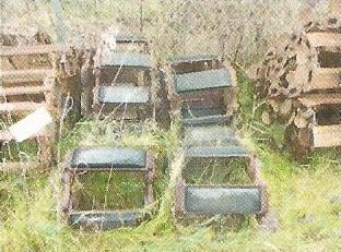 Skid Steer Tracks - Lot # H1127