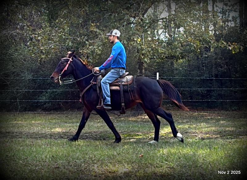 🧡Grace🧡 💔 ✨ The Underdog Who Deserves a Christmas Miracle ✨ 💔