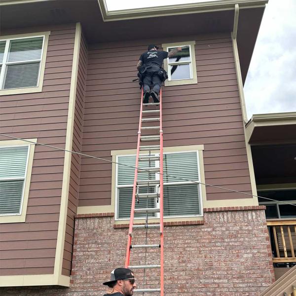 Window Screen &amp; Window Seal Repair