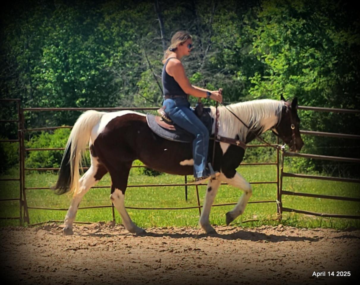 Montana – The Picture-Perfect Partner with All the Right Moves