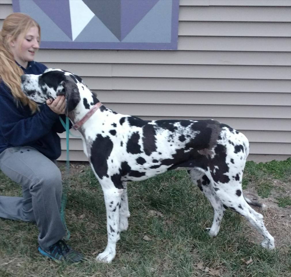 Double S Danes In Pleasant Dale NE | Photo Gallery