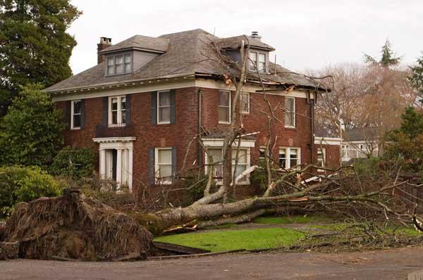 24 Hour Storm Damage Services 