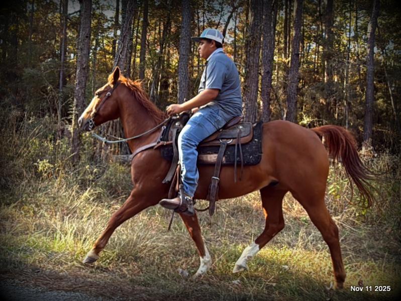 💚Ranger Safe for All Ages💚