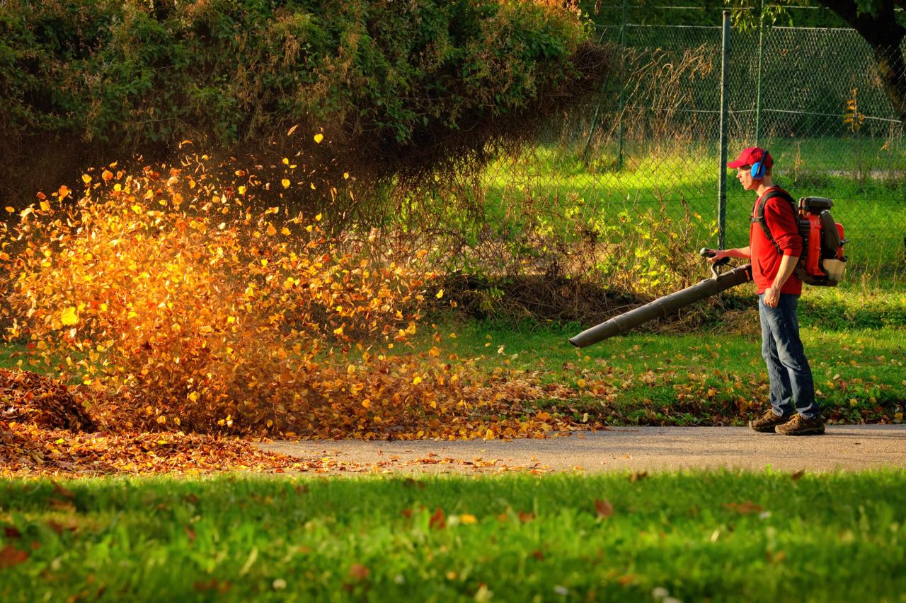Fall and Spring Clean-Up