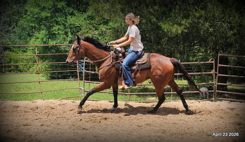 Darylslitlediablo (Diablo)