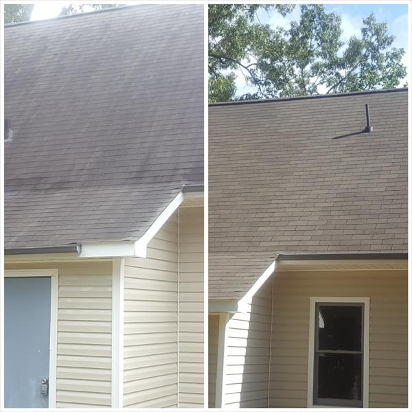 Roof Washing/Gutter Cleaning