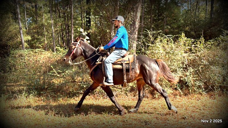 🧡Grace🧡 💔 ✨ The Underdog Who Deserves a Christmas Miracle ✨ 💔