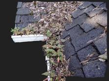Gutter Cleaning 