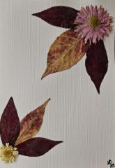 Potpourri Series Cards 10 pack print cards