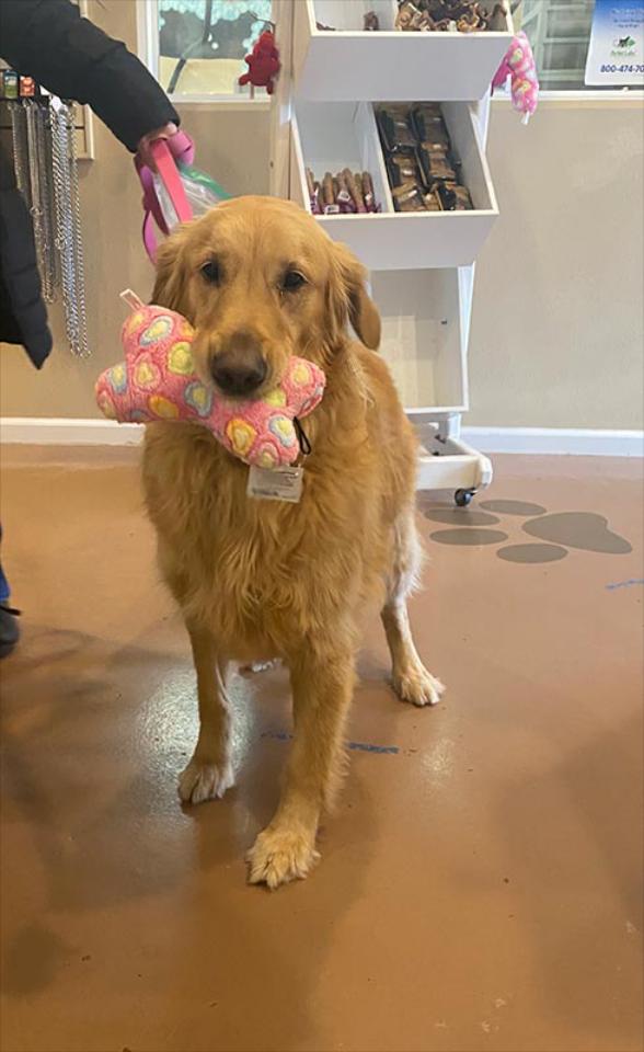 Four Paws Bed And Bath Four Paws Bed And Bath