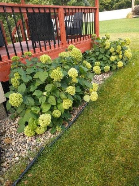 Landscaping Services&nbsp;